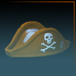 Pirate's Hat